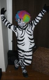 Hand Painted Marty Zebra Madagascar Afro Circus Costume in Kingwood, Texas