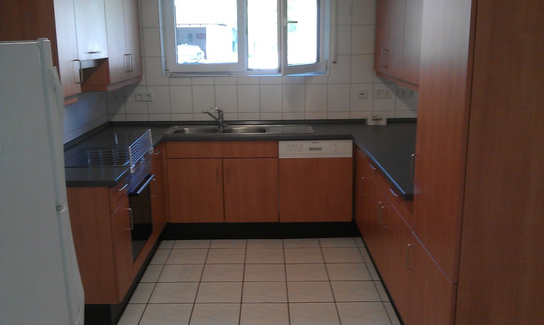 Moving /Transport, PCScleaning/Yardwork/Trash/Junk hauling/painting in Ramstein